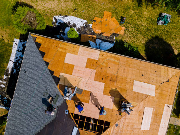 Best Metal Roofing Contractor  in Eaton, IN